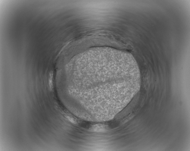 X0000065980708200603311905