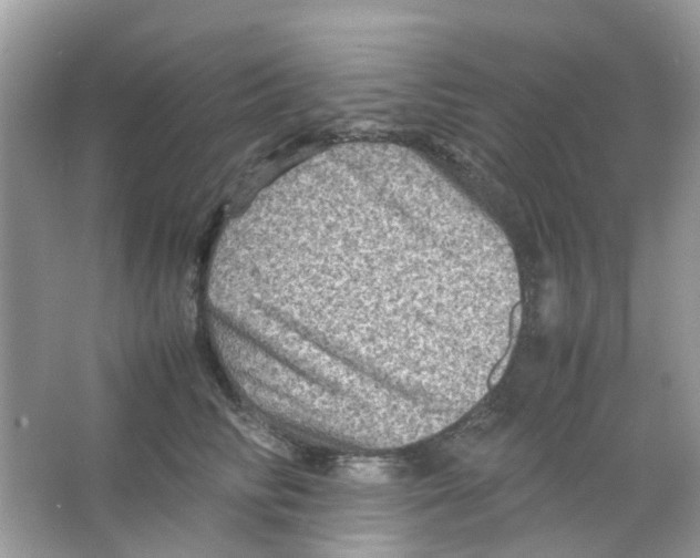 X0000065980710200603311905