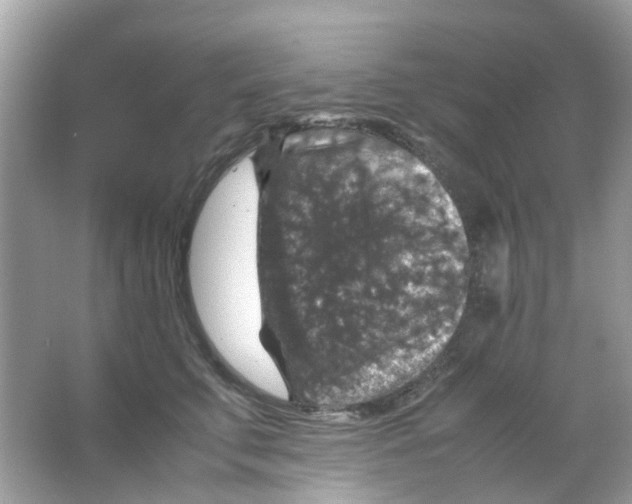 X0000065980711200603311905