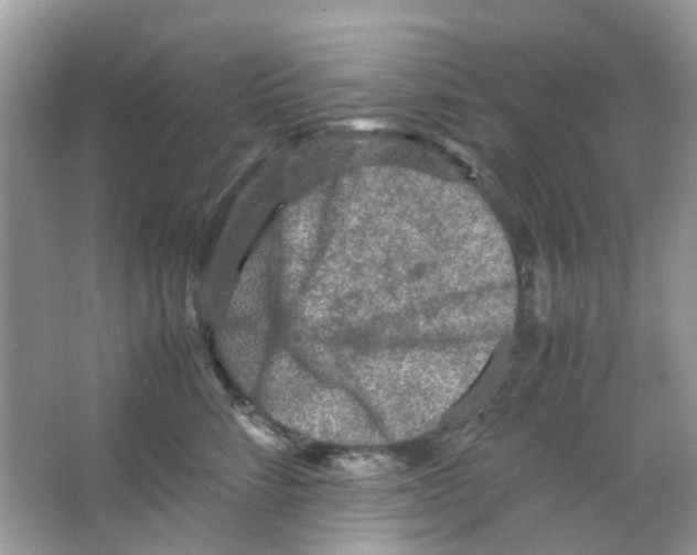 X0000065980712200603311905