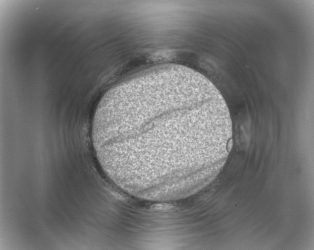 X0000065980714200603311905