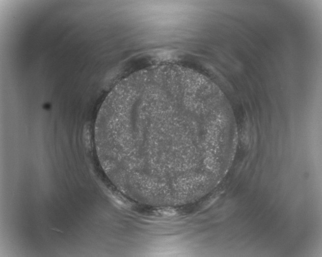 X0000065980715200603311905