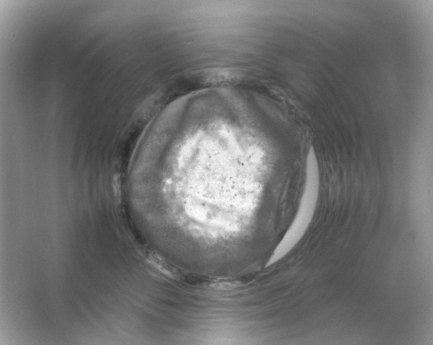 X0000065980716200603311905