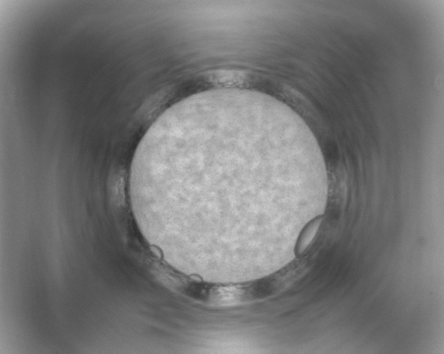 X0000065980717200603311905