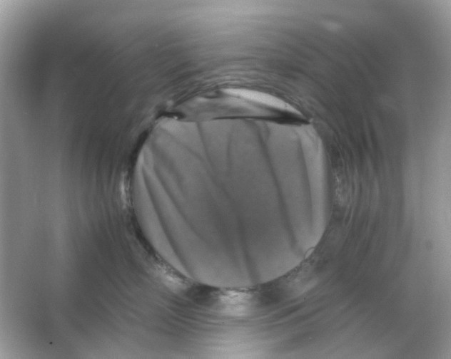 X0000065980718200603311905