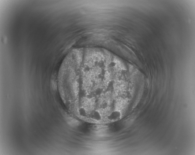 X0000065980719200603311905