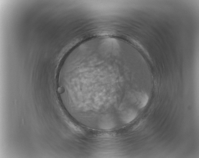 X0000065980721200603311904