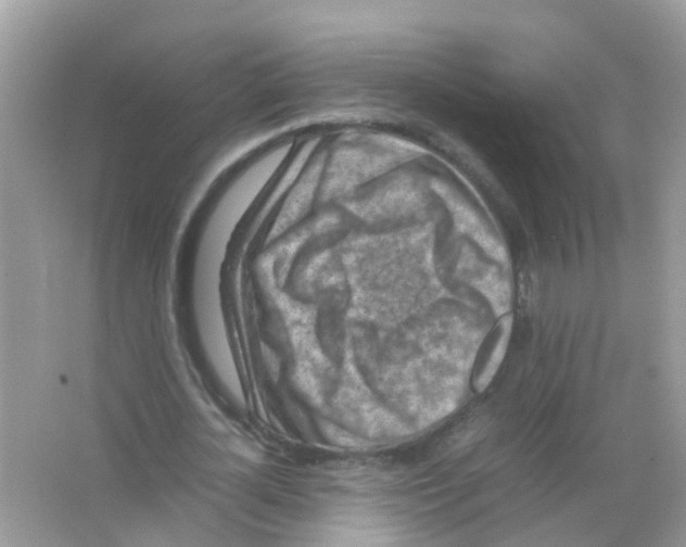 X0000065980724200603311904