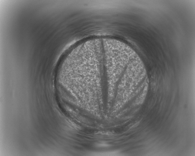 X0000065980727200603311904