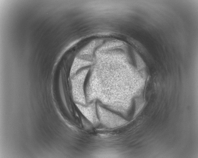 X0000065980728200603311904