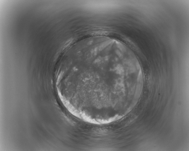 X0000065980729200603311904