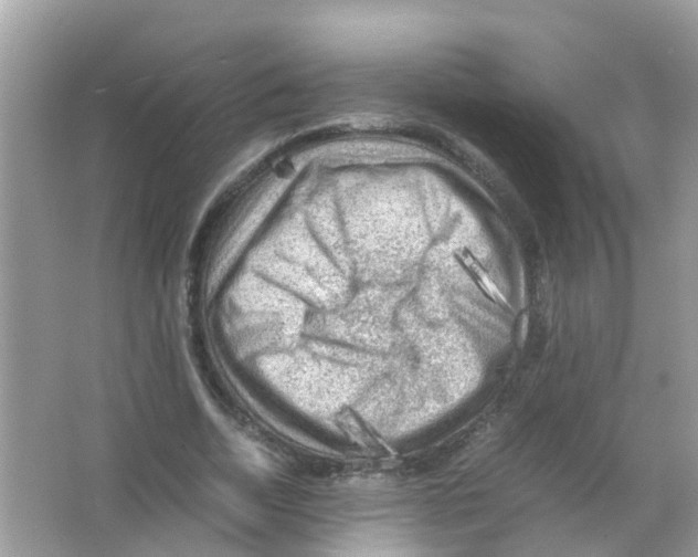 X0000065980730200603311904