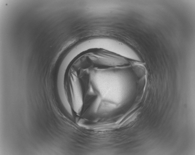 X0000065980731200603311904