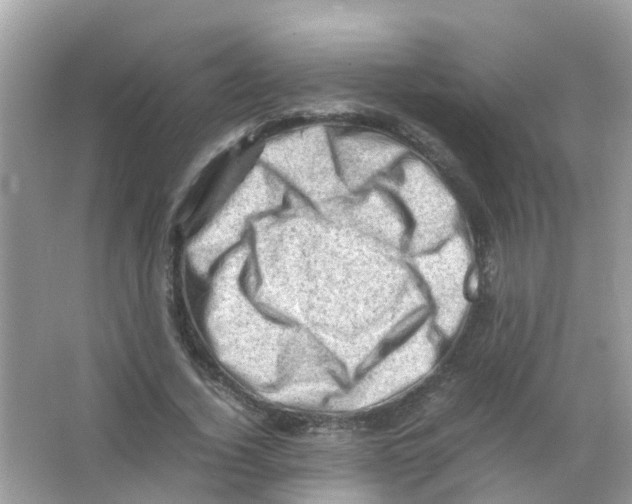 X0000065980732200603311904