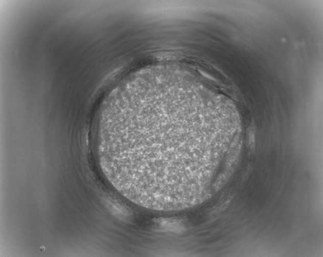 X0000065980733200603311904