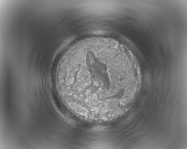 X0000065980734200603311904