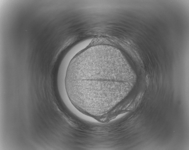 X0000065980735200603311904