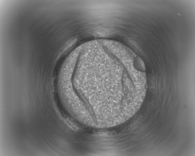 X0000065980738200603311904