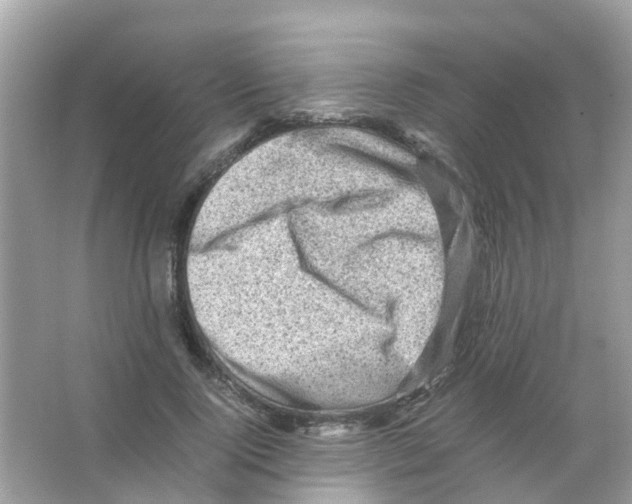 X0000065980740200603311904