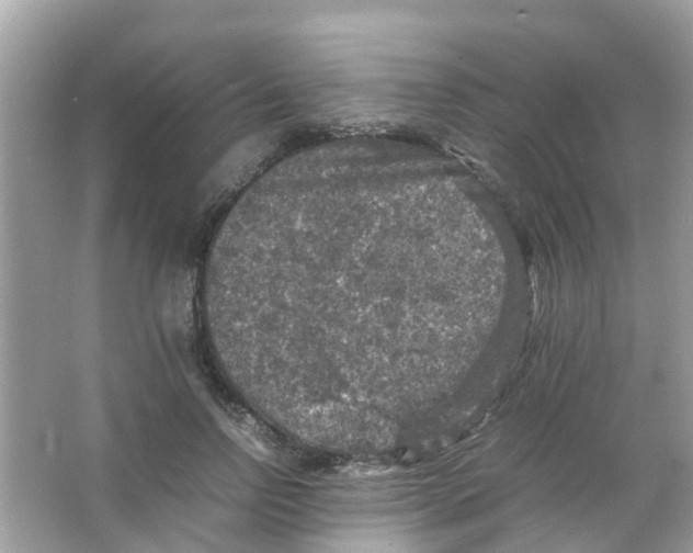 X0000065980742200603311904