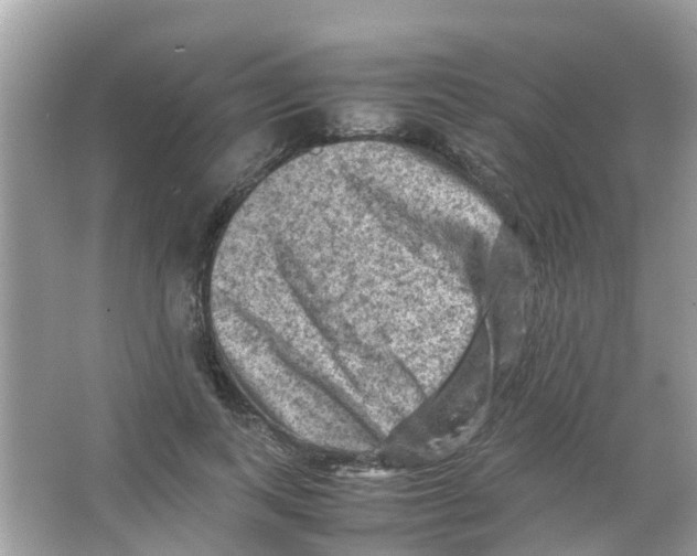 X0000065980743200603311904