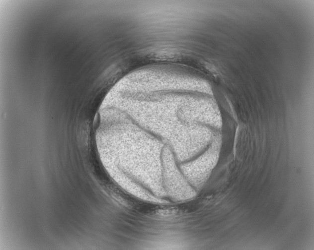 X0000065980744200603311904