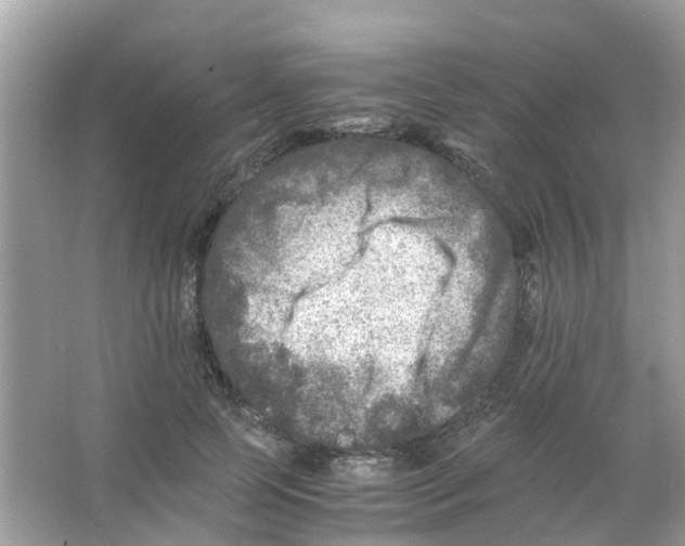 X0000065980745200603311904