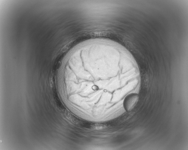 X0000065980746200603311904