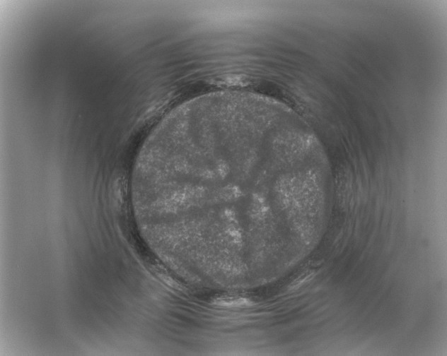 X0000065980747200603311904