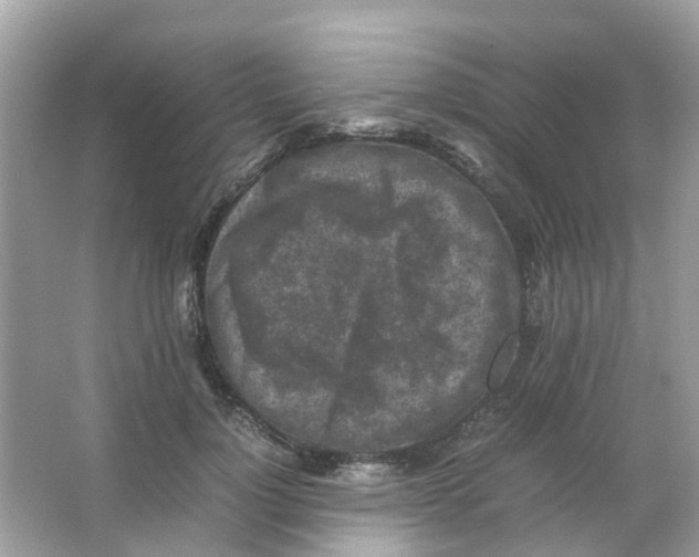 X0000065980748200603311904