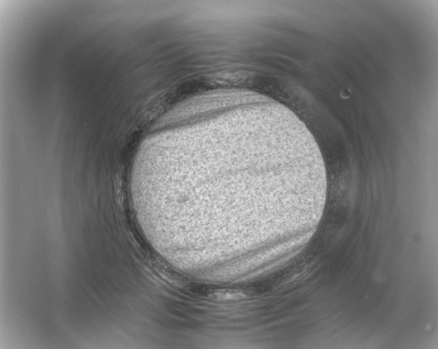 X0000065980749200603311904