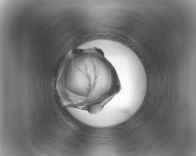 X0000065980750200603311904