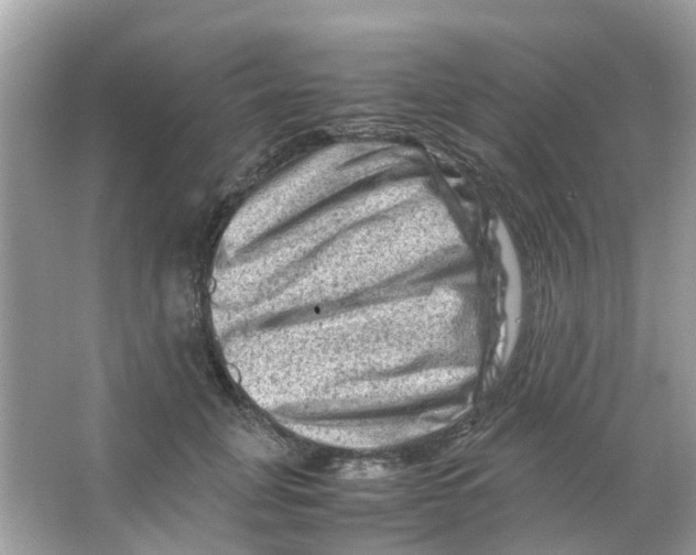 X0000065980751200603311904