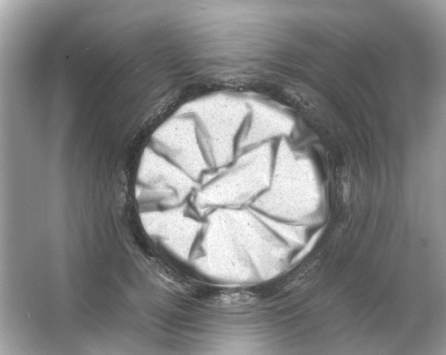 X0000065980752200603311904