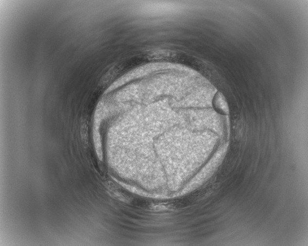 X0000065980753200603311904