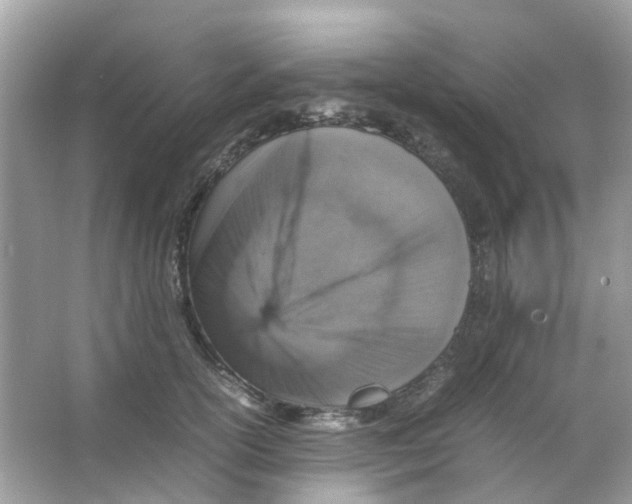 X0000065980754200603311904