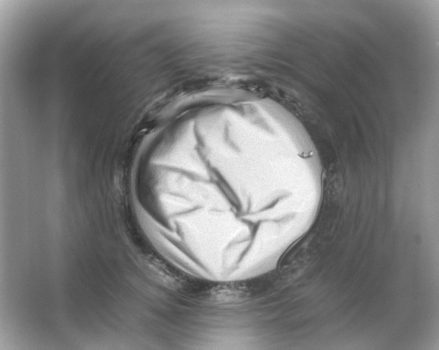 X0000065980756200603311904