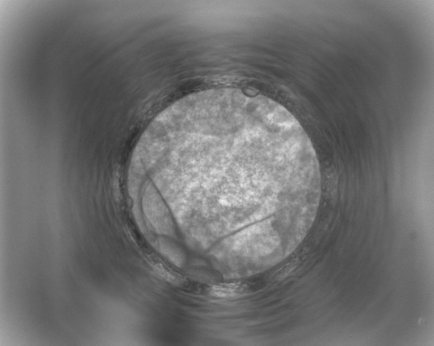 X0000065980757200603311904