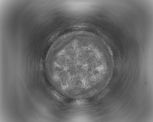 X0000065980758200603311904