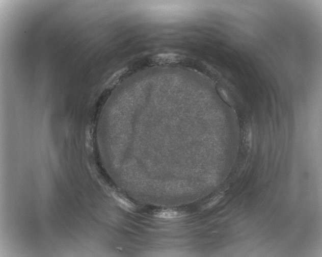 X0000065980759200603311904