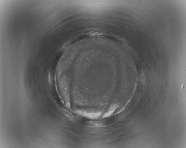 X0000065980763200603311904