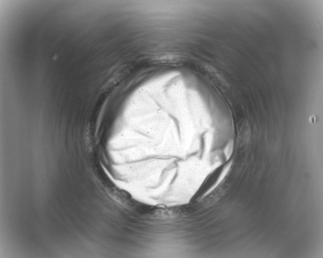 X0000065980764200603311904