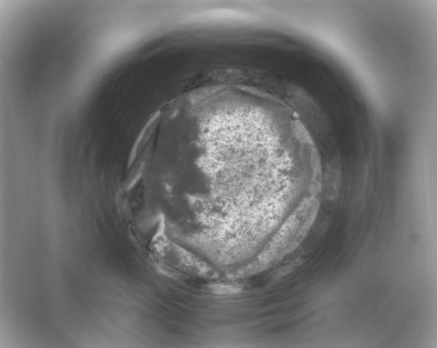 X0000065980765200603311904