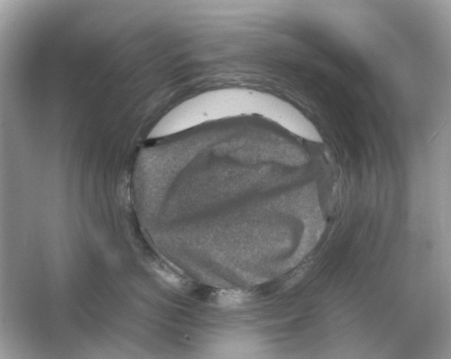 X0000065980766200603311904