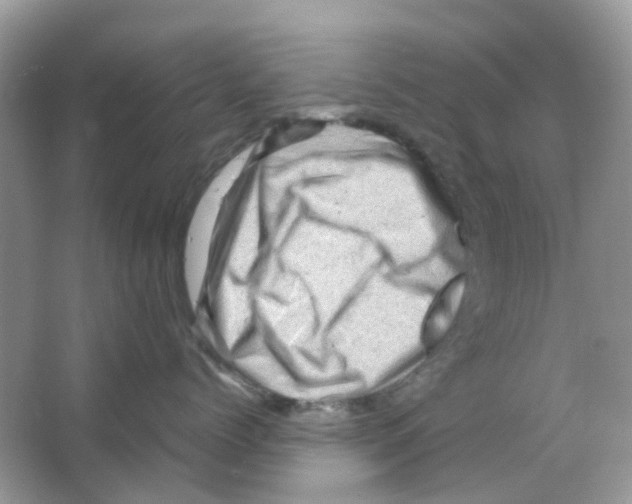 X0000065980768200603311904