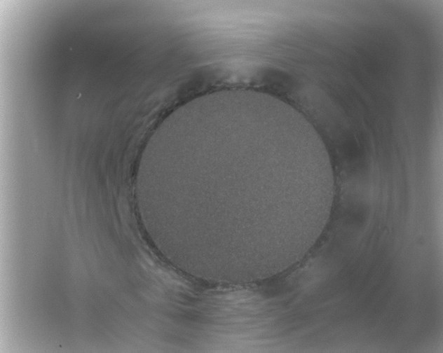 X0000065980769200603311904