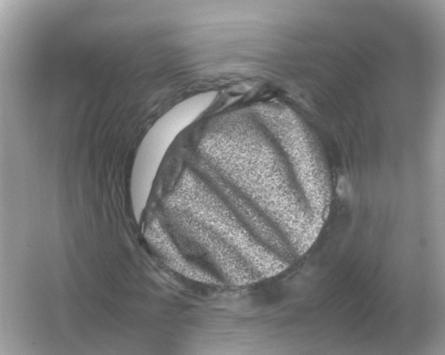 X0000065980771200603311904