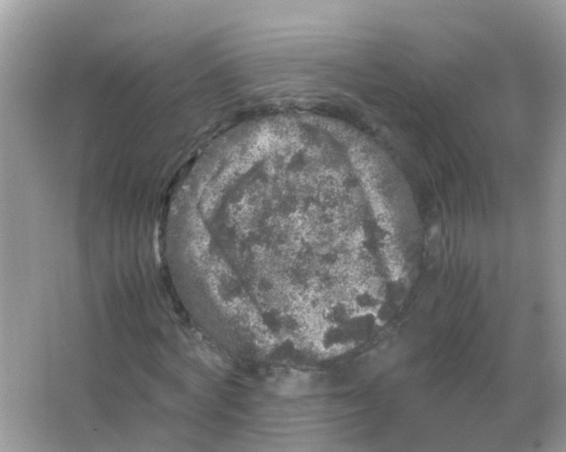 X0000065980772200603311904