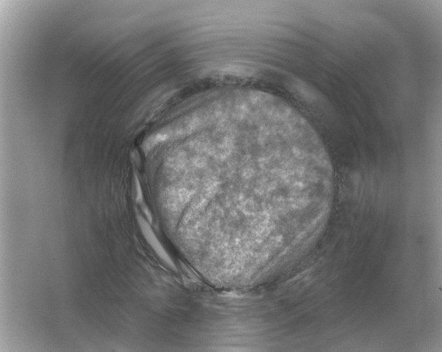 X0000065980774200603311904