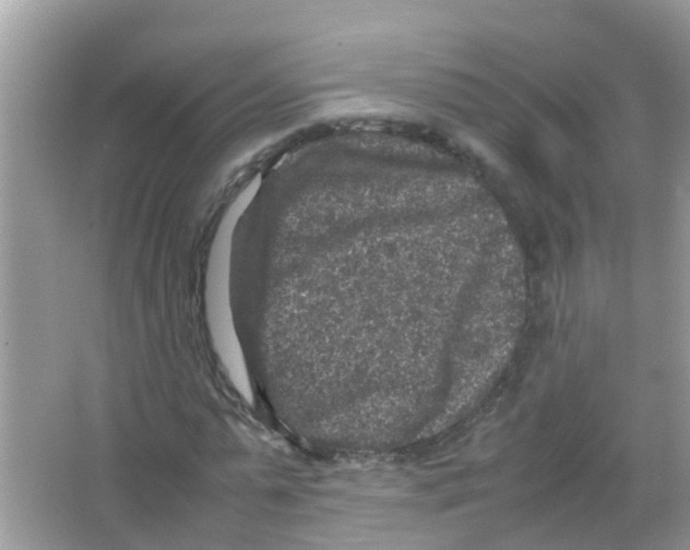 X0000065980775200603311904